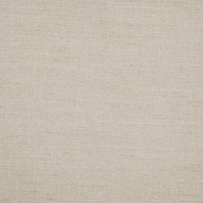 product image of Sample Youngstown Fabric in Soft Sage 544