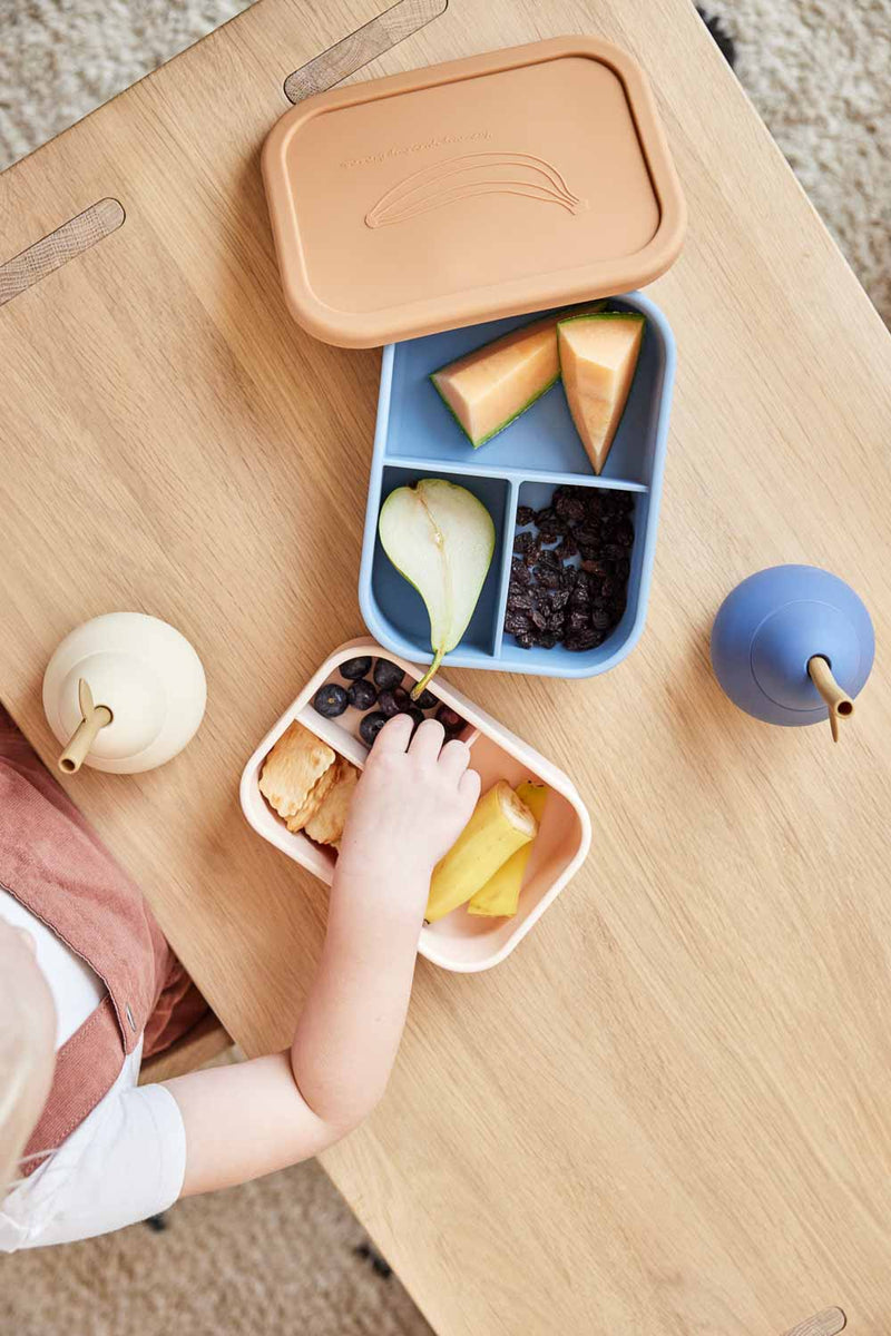 media image for yummy lunch box large in various colors 7 25