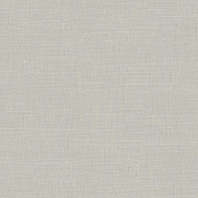 product image of Sample Zion Fabric in Pale Green 557