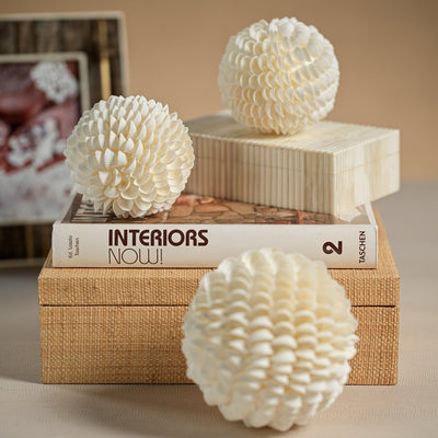 product image for natural clamrose sea shell fill ball 5 36