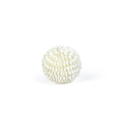 product image of natural clamrose sea shell fill ball 1 58