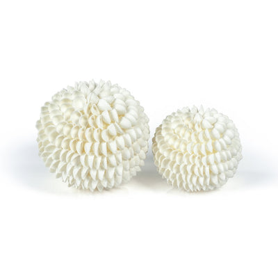 product image for natural clamrose sea shell fill ball 3 72