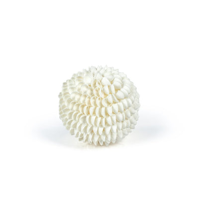 product image for natural clamrose sea shell fill ball 2 66