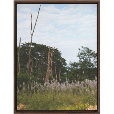 product image for Meadow Framed Canvas 26