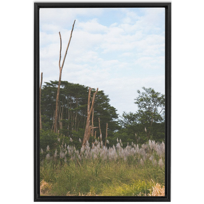 product image for Meadow Framed Canvas 80