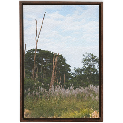 product image for Meadow Framed Canvas 30