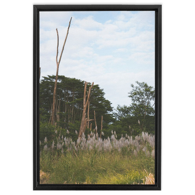 product image for Meadow Framed Canvas 56