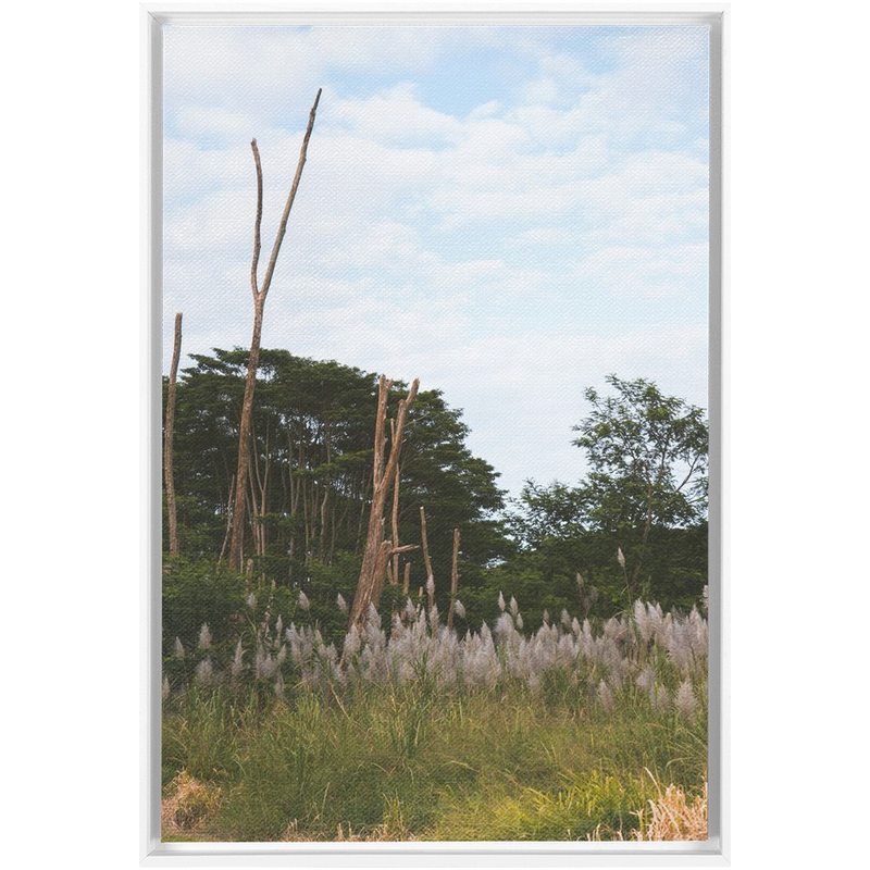 media image for Meadow Framed Canvas 236