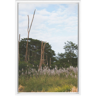 product image for Meadow Framed Canvas 1