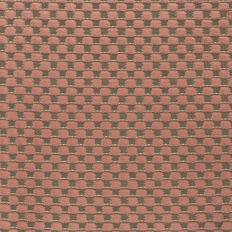 media image for Sample Viviana Alisa Blush Fabric 298
