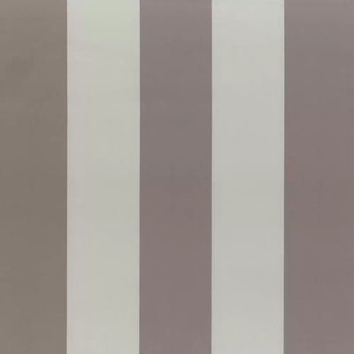 product image of Sample Pisa Stripes Stretto Mink Fabric 582