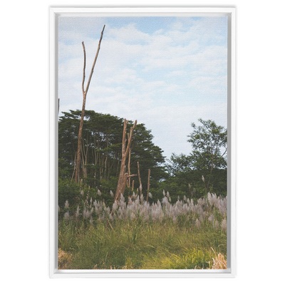 product image for Meadow Framed Canvas 34