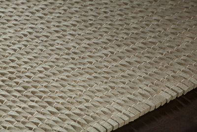 product image for Renea Hand Woven Contemporary Ren 40101 Rug Chandra Rugs 3 90