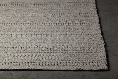 product image for Tia Hand Woven Contemporary Tia 48102 Rug Chandra Rugs 3 10