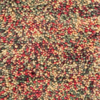 product image for Izzie Hand Woven Contemporary Shag Izz 45302 Rug Chandra Rugs 2 59