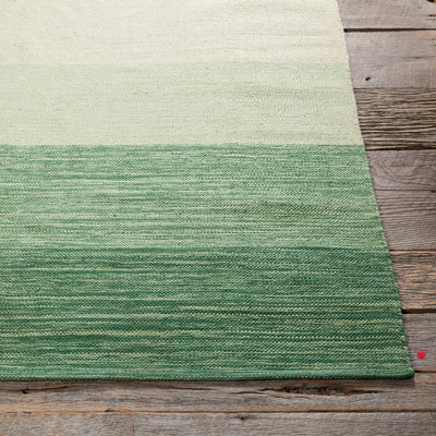 product image for India Hand Woven Contemporary Ind 5 Rug Chandra Rugs 3 43