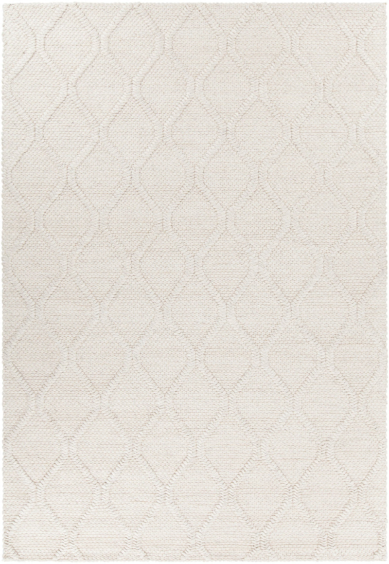 media image for Sujan Hand Woven Contemporary Suj 34701 Rug Chandra Rugs 1 220