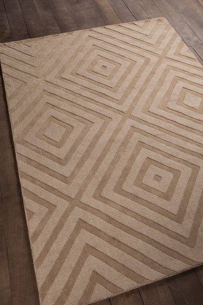 product image for Jaipur Hand Woven Transitional Jai 18900 Rug Chandra Rugs 5 33