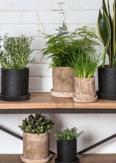 product image for terra planter in coal in various sizes by design by dassie artisan 2 24