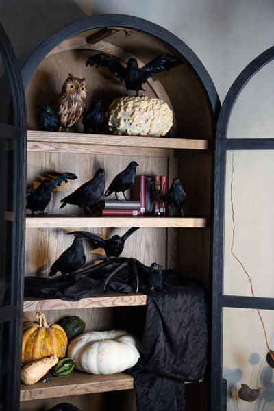 product image for Owl Brown - Large 34