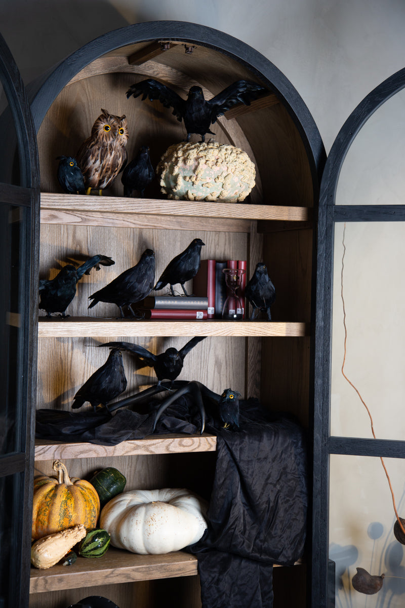 media image for Owl Brown - Large 216