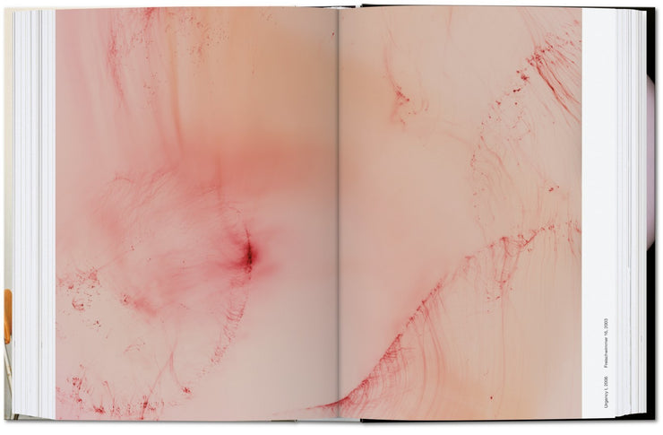 wolfgang tillmans four books 40th anniversary edition 8