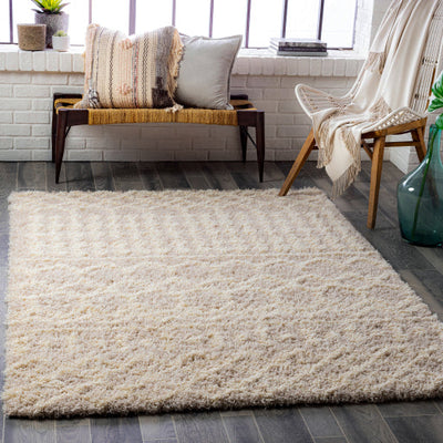 product image for Urban Shag Cream Rug Roomscene Image 2 89