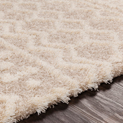 product image for Urban Shag Cream Rug Texture Image 67