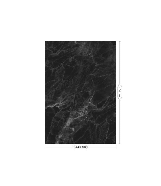media image for Marble Black Wall Mural by KEK Amsterdam 281