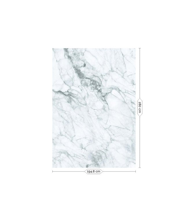 media image for Marble Carrara Wall Mural by KEK Amsterdam 276