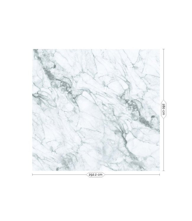 media image for Marble Carrara Wall Mural by KEK Amsterdam 278