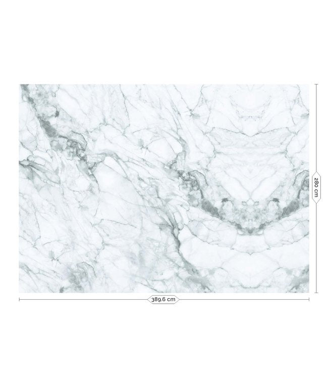 media image for Marble Carrara Wall Mural by KEK Amsterdam 289