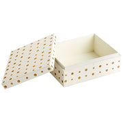 Dot Crown Container in Various Sizes