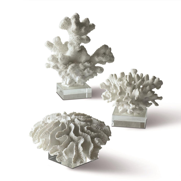 Set of 3 White Coral Sculpture on Glass Stands