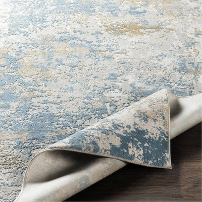 product image for Aisha AIS-2302 Rug in Sky Blue & Light Grey by Surya 2