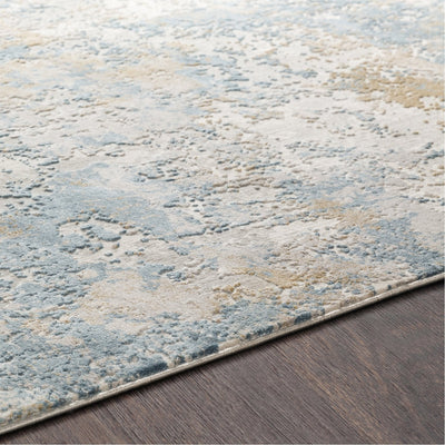 product image for Aisha AIS-2302 Rug in Sky Blue & Light Grey by Surya 46