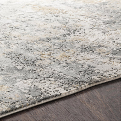 product image for Aisha AIS-2303 Rug in Charcoal & Medium Grey by Surya 2