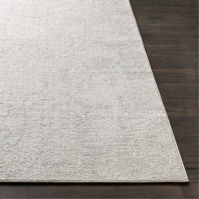 product image for Aisha AIS-2306 Rug in Light Grey & White by Surya 74