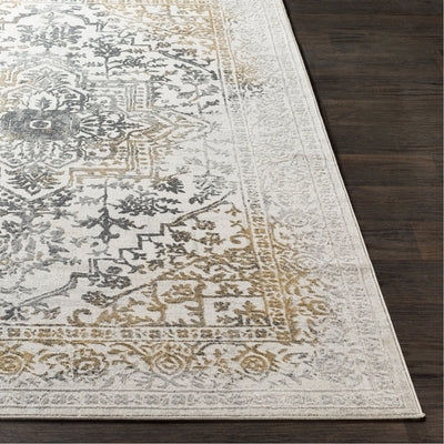 product image for Aisha AIS-2308 Rug in Charcoal & Grey by Surya 93