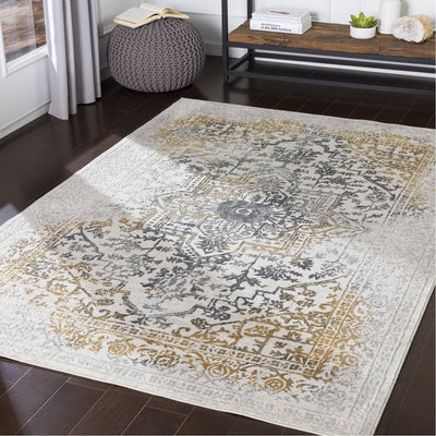 product image for Aisha AIS-2308 Rug in Charcoal & Grey by Surya 17