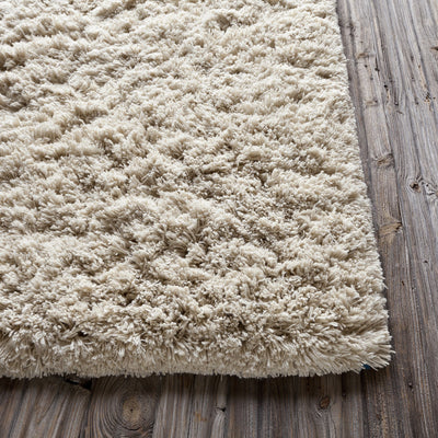 product image for Ambiance Collection Hand-Woven Area Rug 81