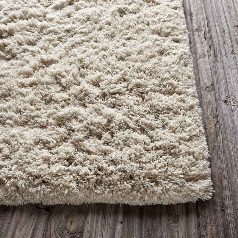 media image for Ambiance Collection Hand-Woven Area Rug 240