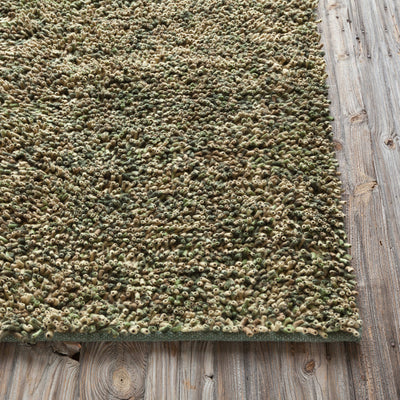 product image for Ambiance Collection Hand-Woven Area Rug 17