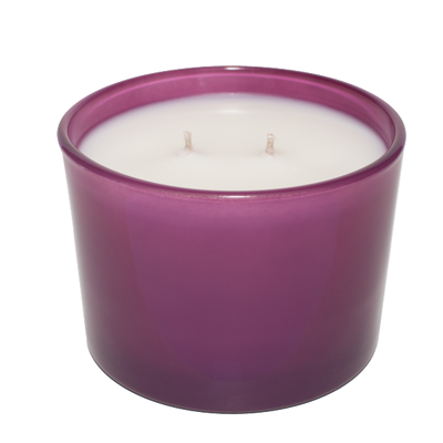 product image for Lavandula 11 ounce Candle 19