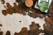 Grand Canyon Rug in Beige & Brown design by Loloi