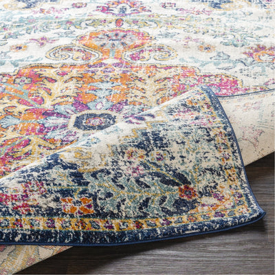 product image for Harput HAP-1000 Rug in Multi-Color by Surya 49