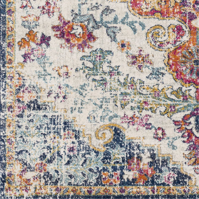 product image for Harput HAP-1000 Rug in Multi-Color by Surya 57