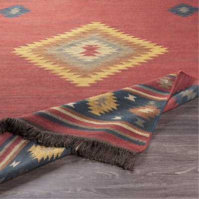 product image for Jewel Tone JT-1033 Hand Woven Rug in Dark Red & Navy by Surya 12