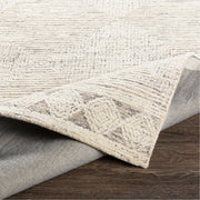 Newcastle NCS-2313 Hand Tufted Rug in Cream & Taupe by Surya