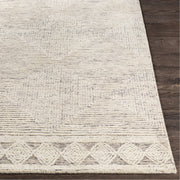 Newcastle NCS-2313 Hand Tufted Rug in Cream & Taupe by Surya